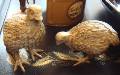 Bird Table Ornaments