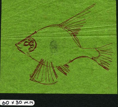 Fish Sketch editx