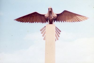 Eagle on Columneditx