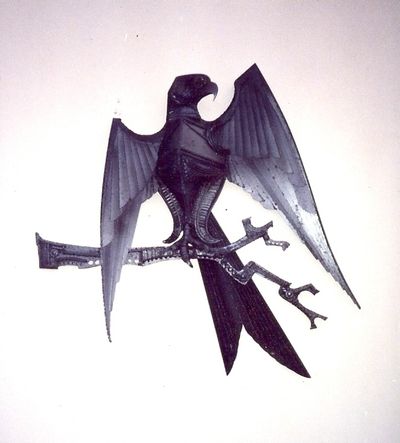 Bird of Prey on Bran